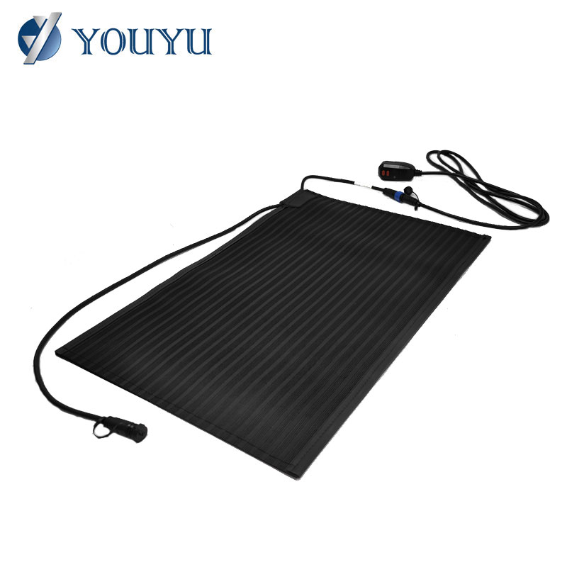 220v Outdoor Snow Melting Mat Ground Snow Melting Ice