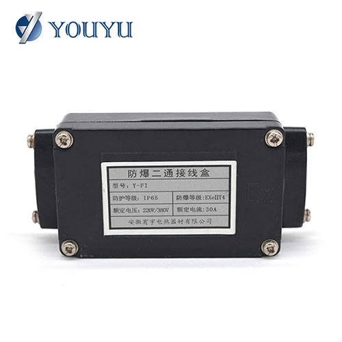 Explosion-proof Two-way Junction Box
