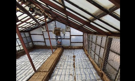  output (Wattage) per square meter